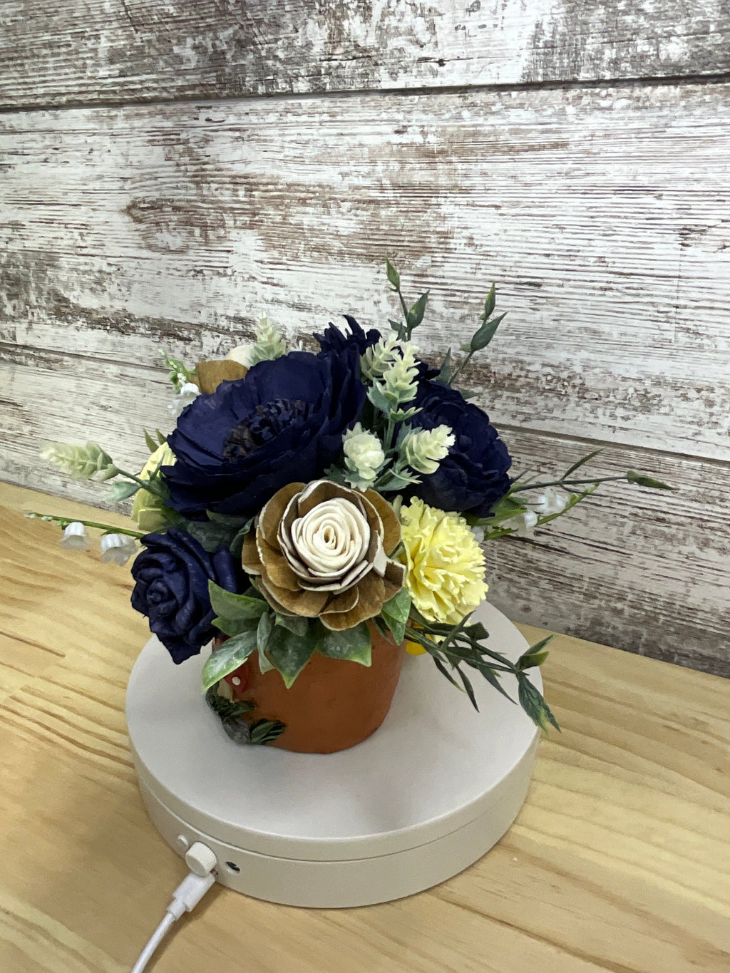 Navy & Cream Sola Wood Flower Arrangement in Highland Cow Raincoat Terracotta Pot