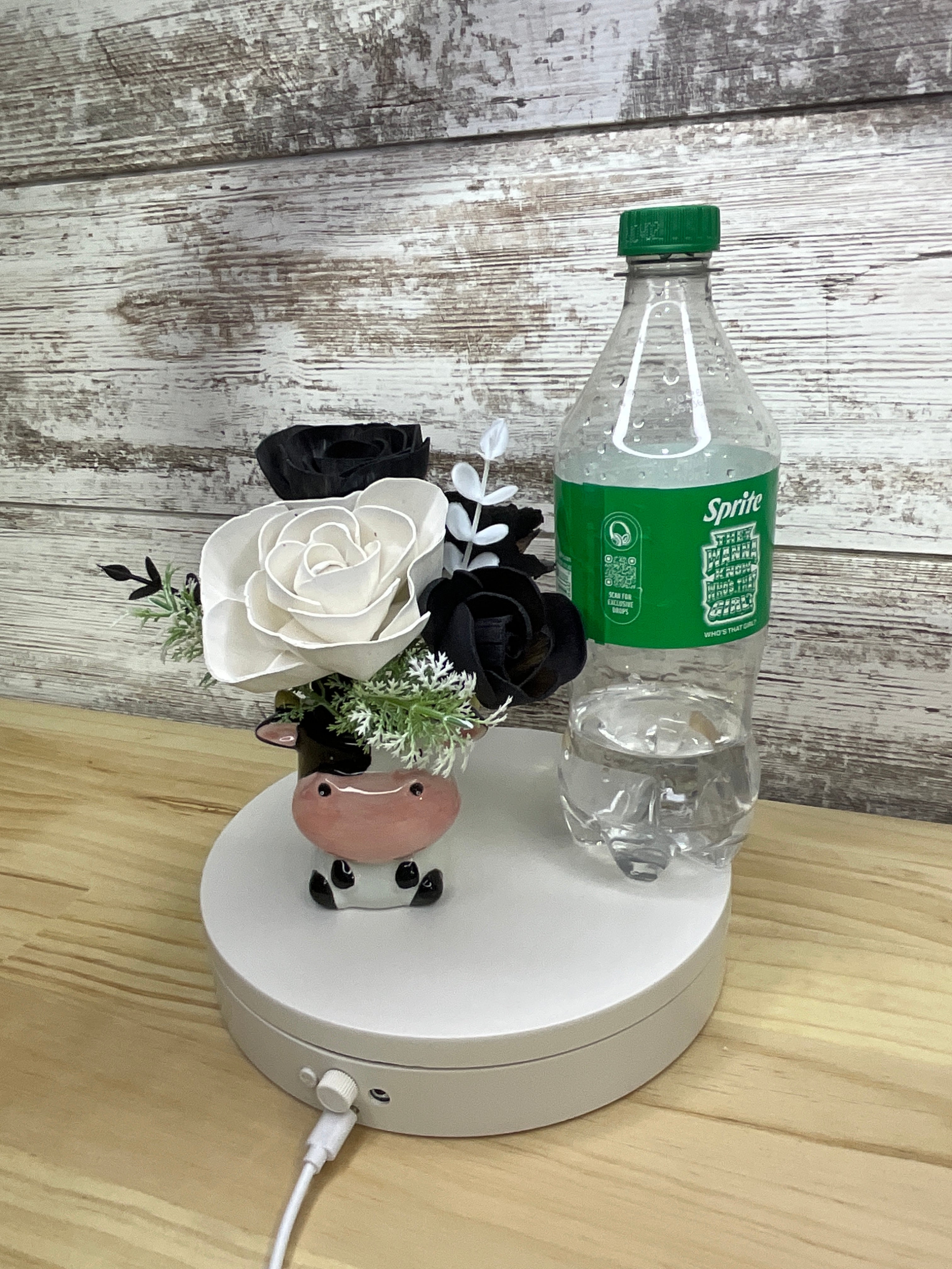 Black & White Sola Wood Flower Arrangement in Cow Ceramic Mini Mug
