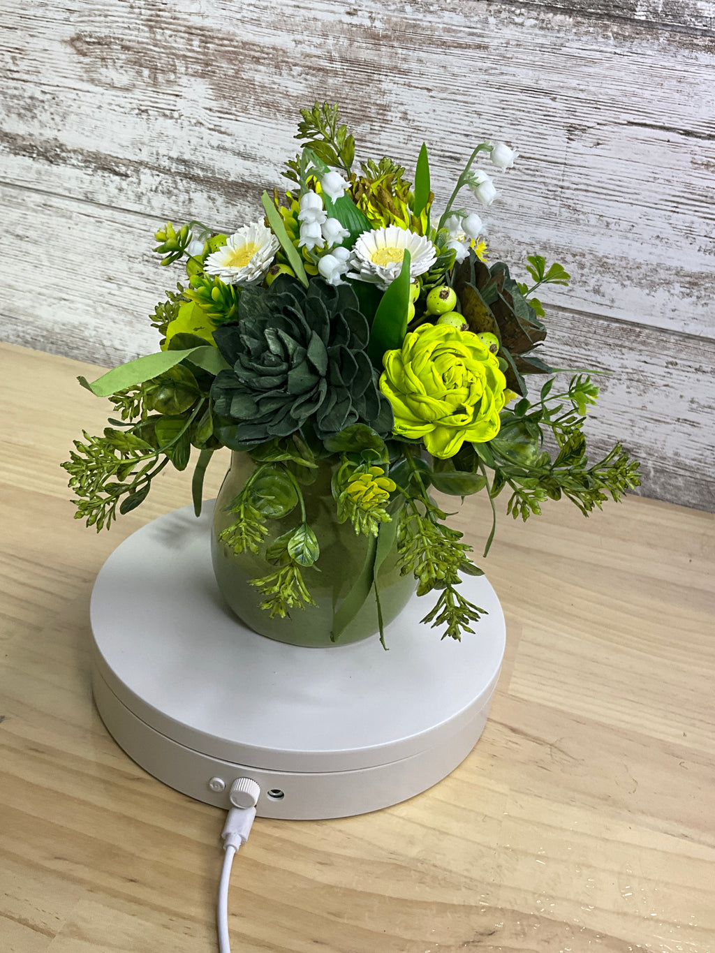 Green Sola Wood Flower Arrangement in Ceramic Frog Vase