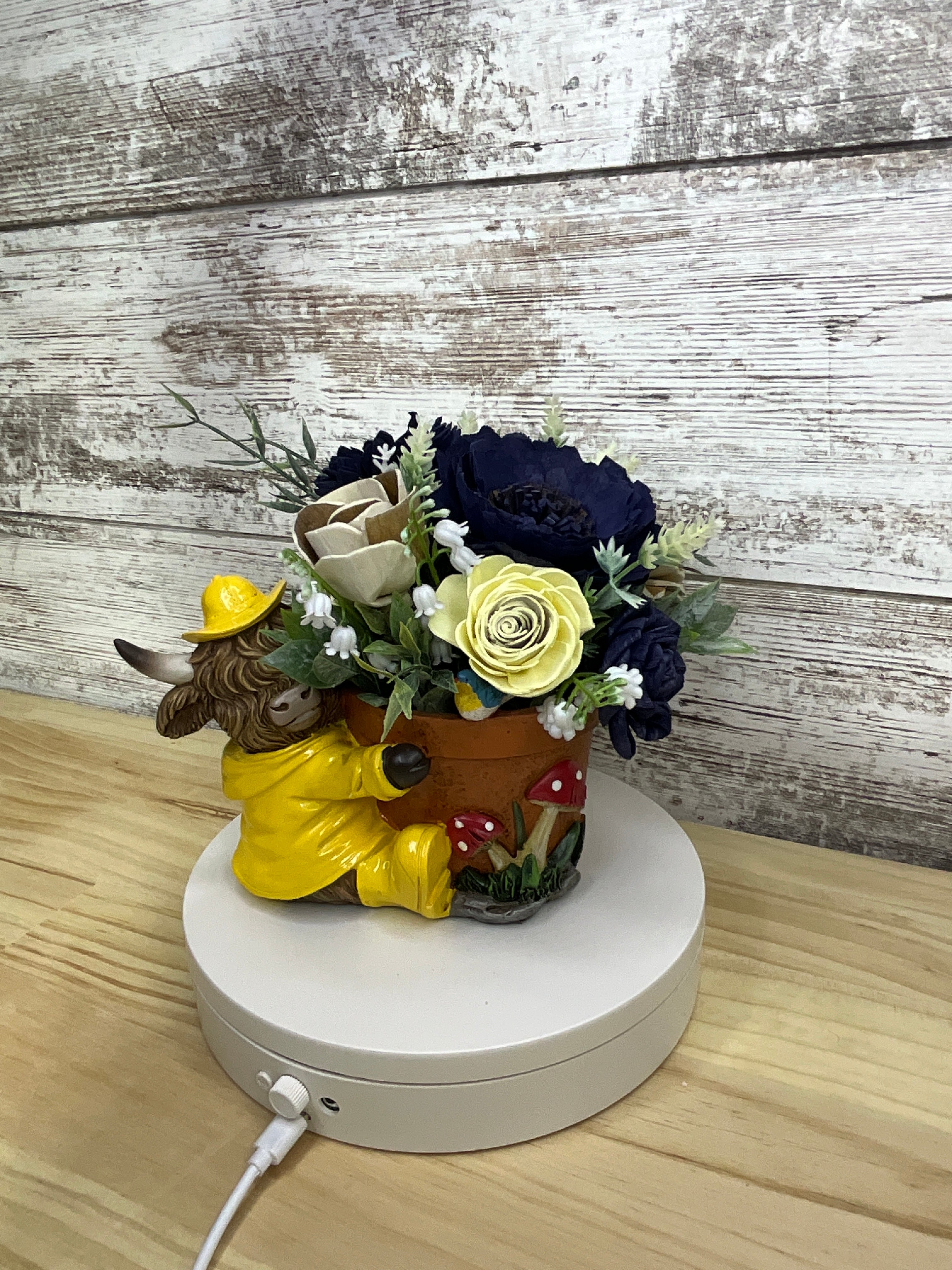 Navy & Cream Sola Wood Flower Arrangement in Highland Cow Raincoat Terracotta Pot