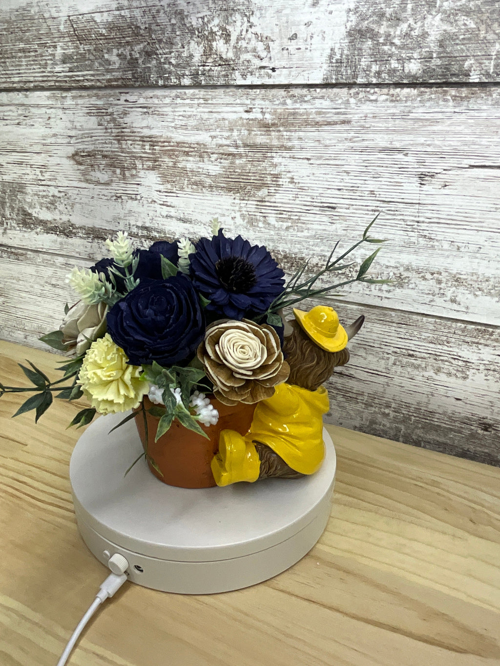 Navy & Cream Sola Wood Flower Arrangement in Highland Cow Raincoat Terracotta Pot