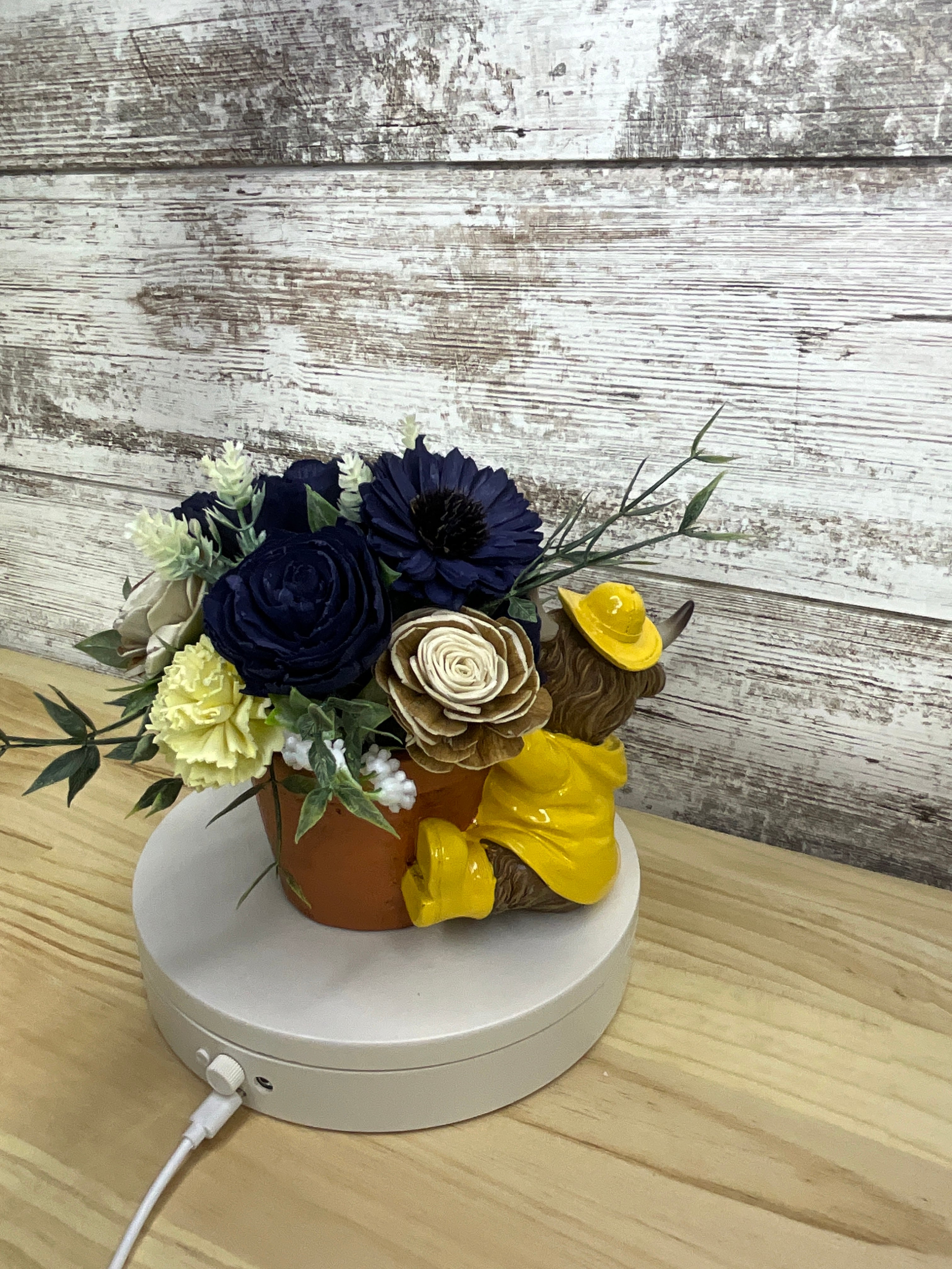 Navy & Cream Sola Wood Flower Arrangement in Highland Cow Raincoat Terracotta Pot