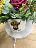 Happy Harvest Highland Cow Sola Wood Flower Arrangement