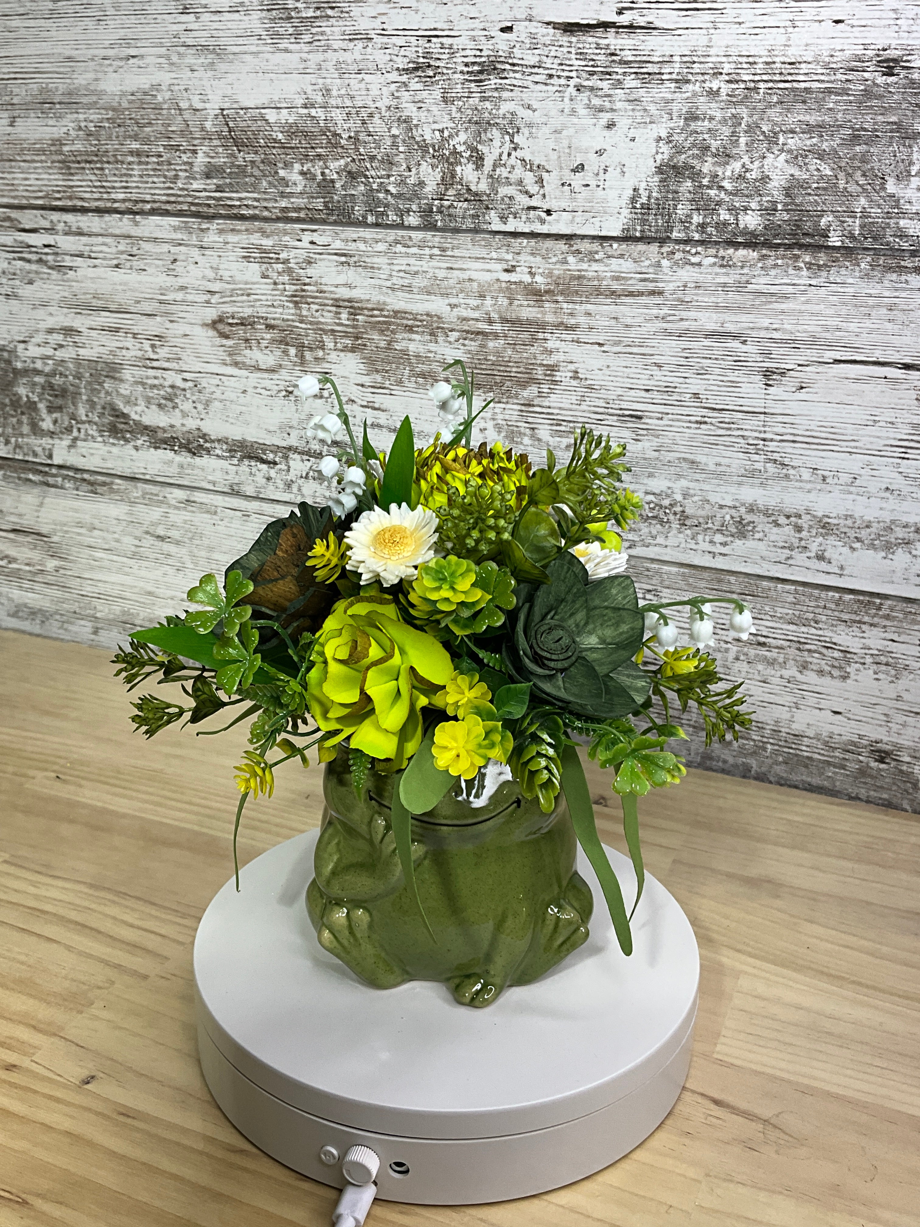 Green Sola Wood Flower Arrangement in Ceramic Frog Vase