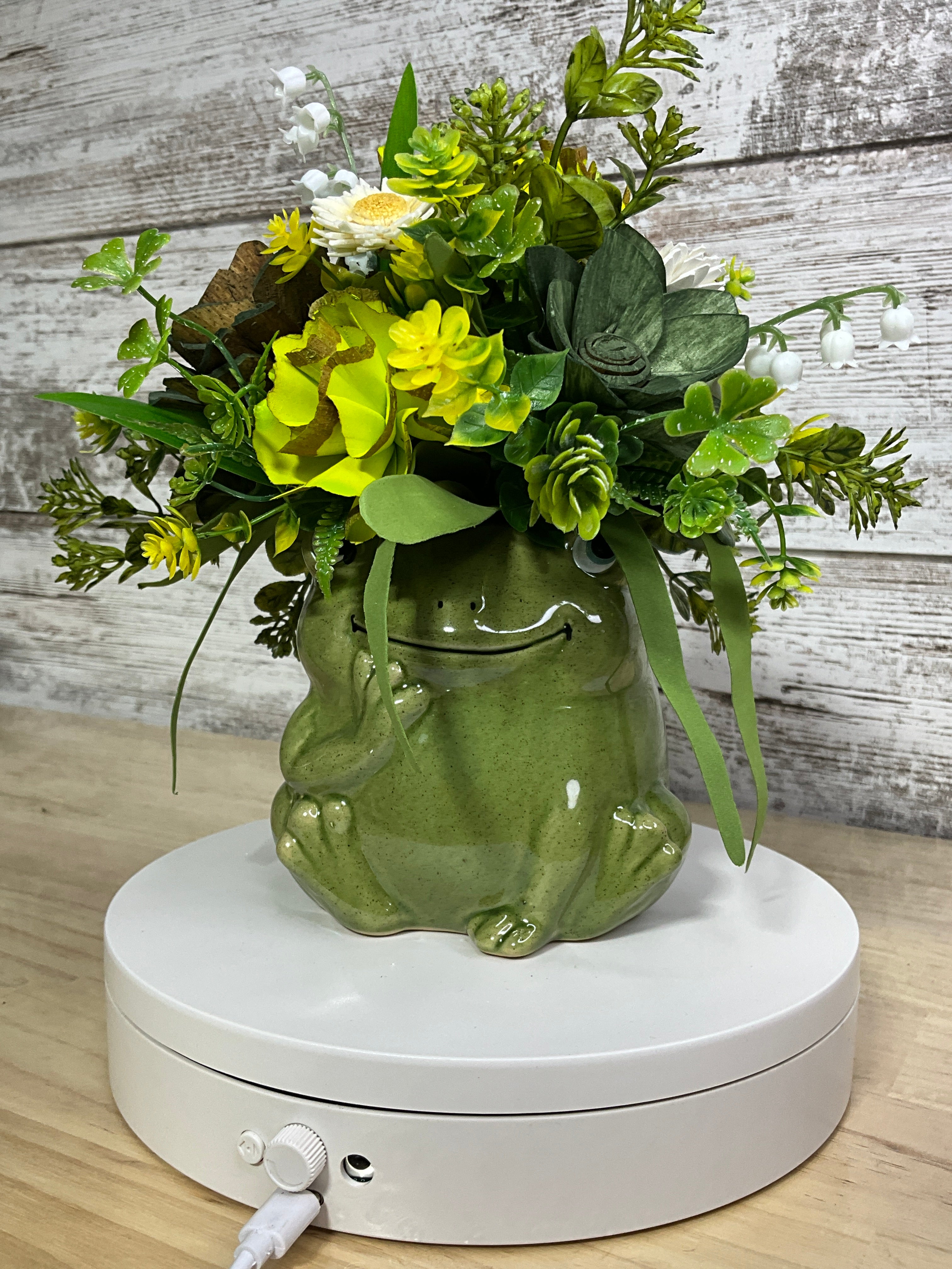 Green Sola Wood Flower Arrangement in Ceramic Frog Vase