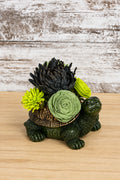 Slow & Steady – Turtle Sola Wood Flower Arrangement