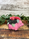 Porky Pig