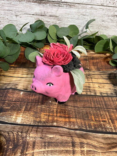 Porky Pig - Joni’s Sola Ever After, LLC