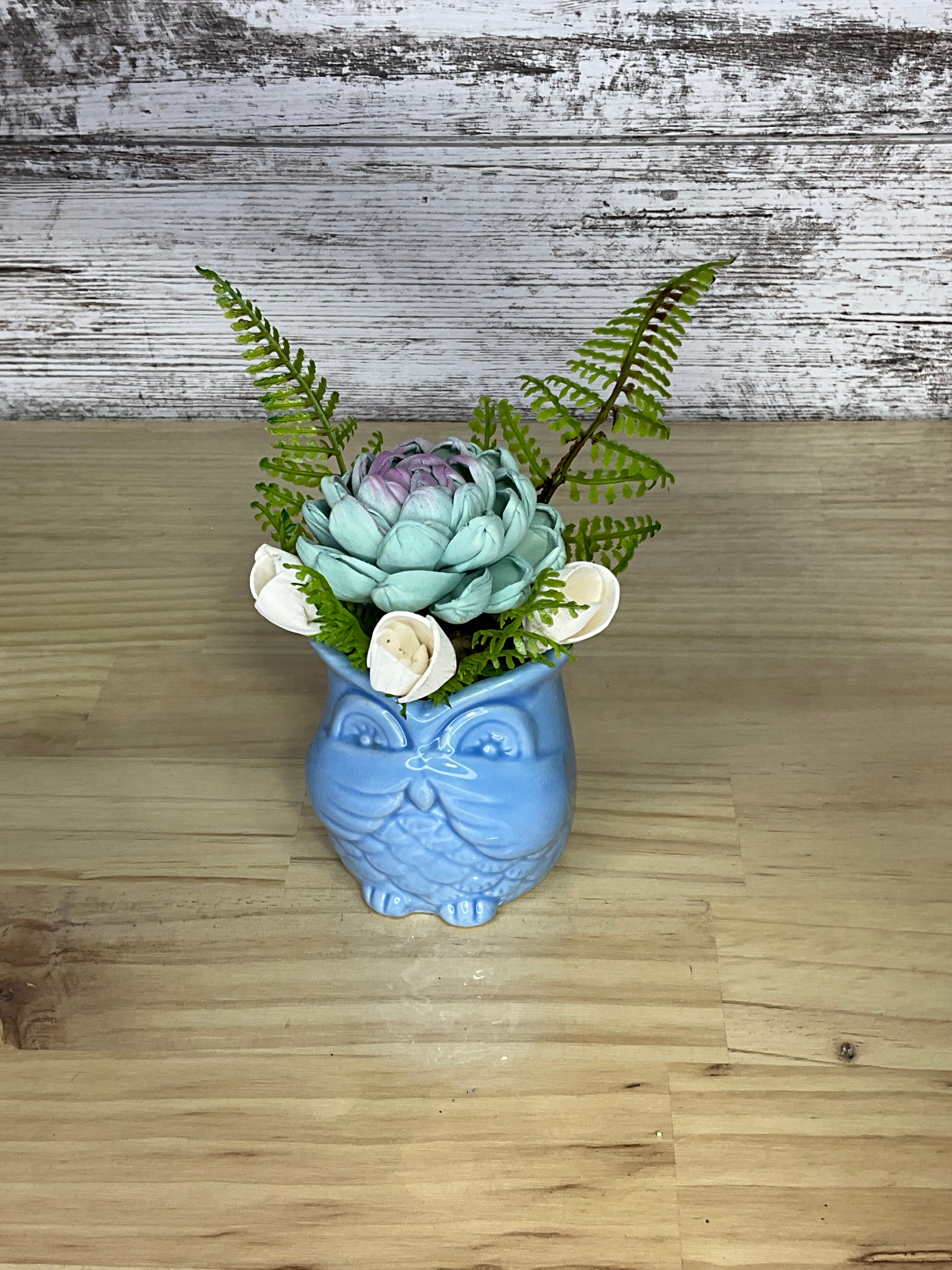 Teal & Lavender Sola Wood Succulent Arrangement in Blue Owl Ceramic Planter