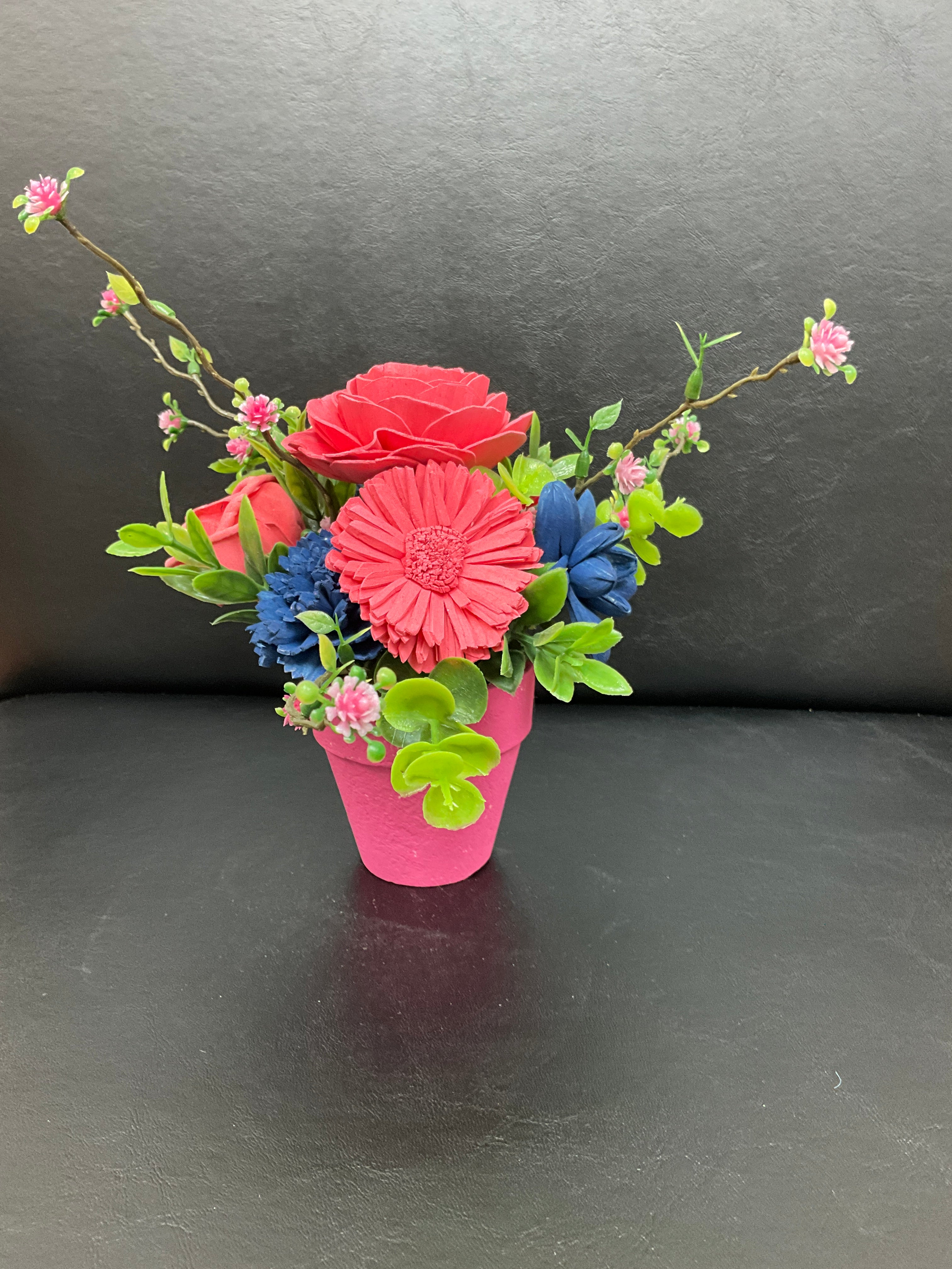 Sola Wood Flowers in Terracotta pot