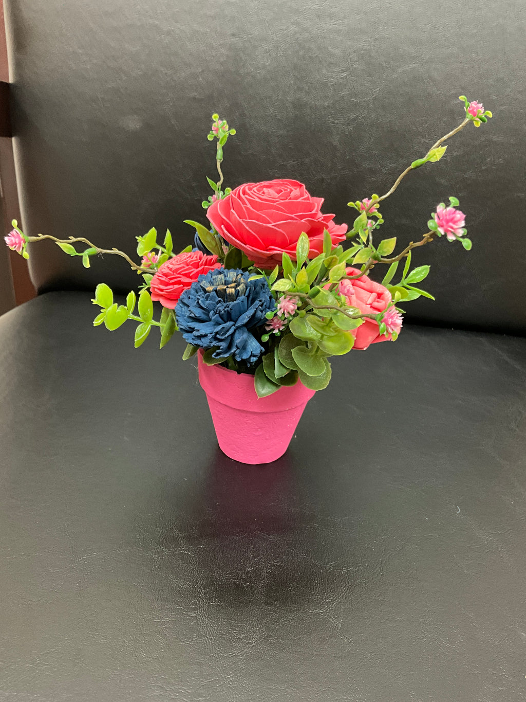 Sola Wood Flowers in Terracotta pot