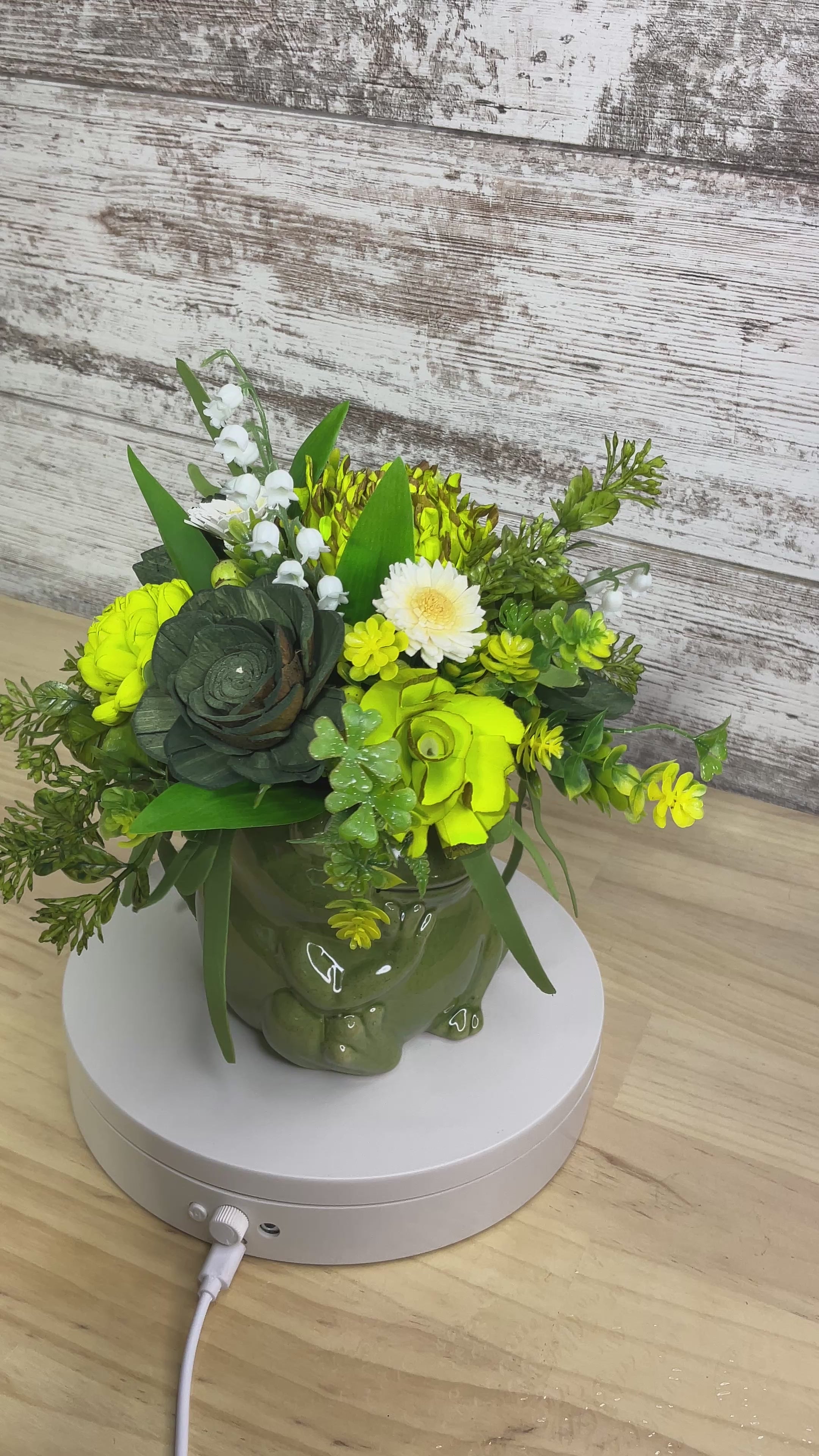 Green Sola Wood Flower Arrangement in Ceramic Frog Vase