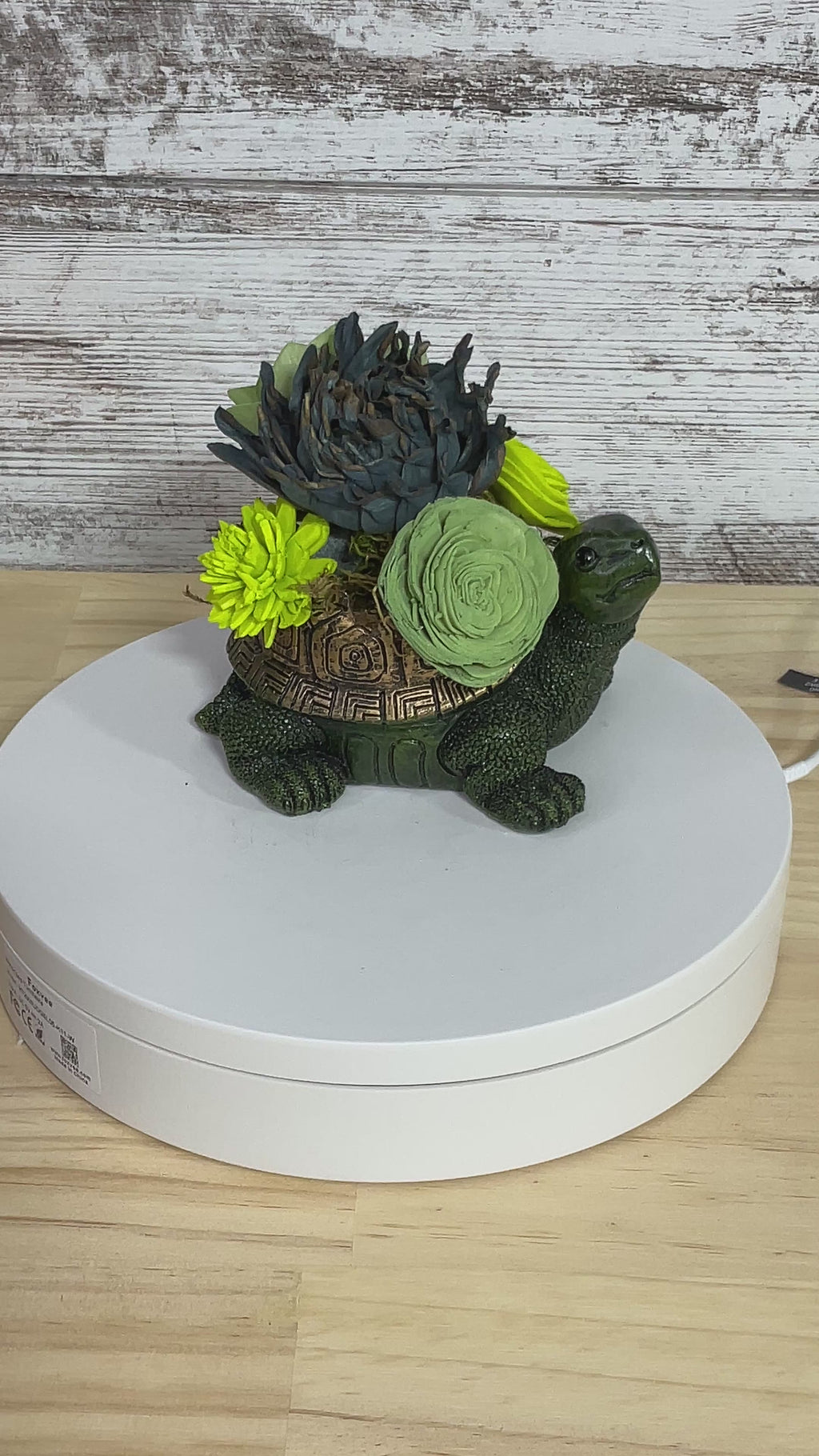 Slow & Steady – Turtle Sola Wood Flower Arrangement